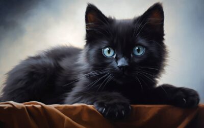 Black Cat Names: 150 Ideas
