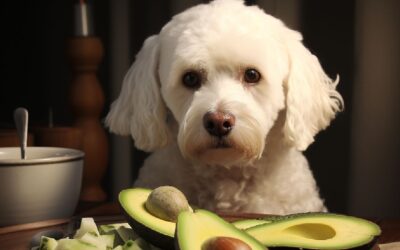 Can Dogs Eat Avocado?