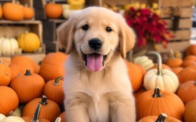 Can Dogs Eat Squash Safely? 