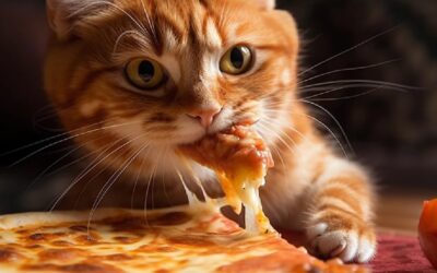 Can Cats Eat Pizza?