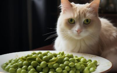 Are Peas Safe For Cats?