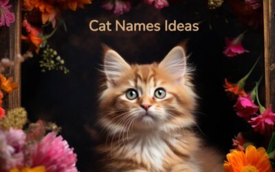 Cat Names Ideas