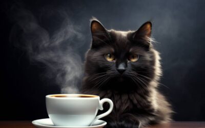 Is Coffee Bad for Cats?