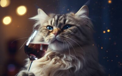 Can Cats Drink Alcohol?