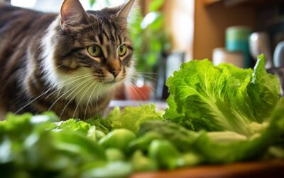 Can Cats Eat Collard Greens?