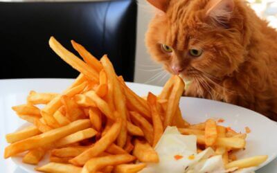 Are Potatoes Safe For Cats? Exploring Potato Risks and Benefits