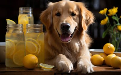 Can Dogs Eat Lemon?