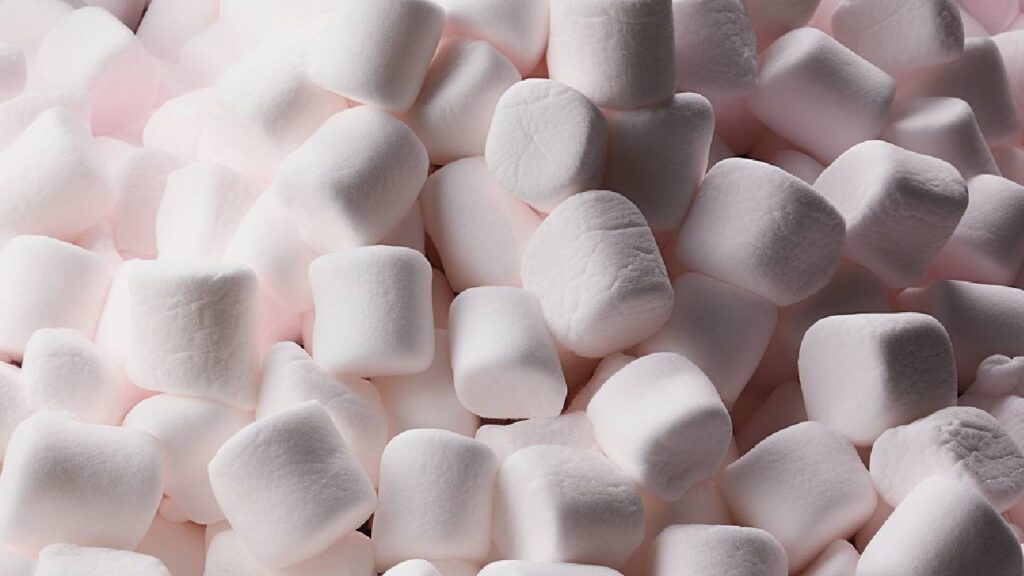 marshmallow for cats