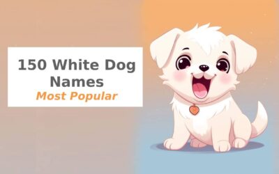Best 150 White Dog Names