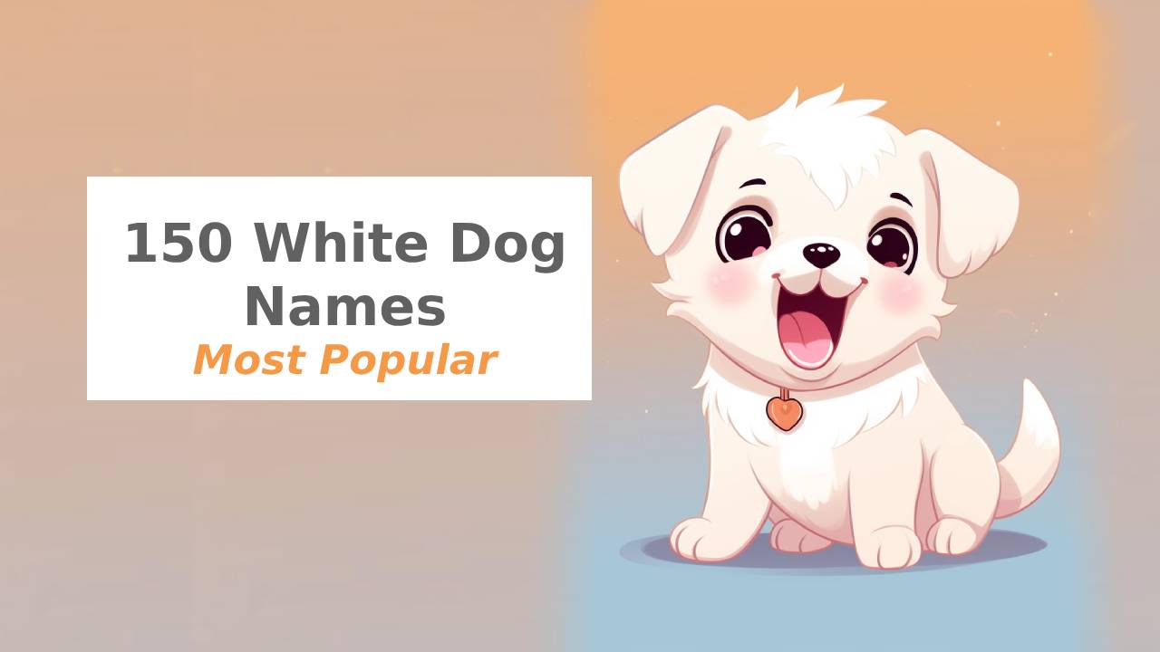 popular white dog names