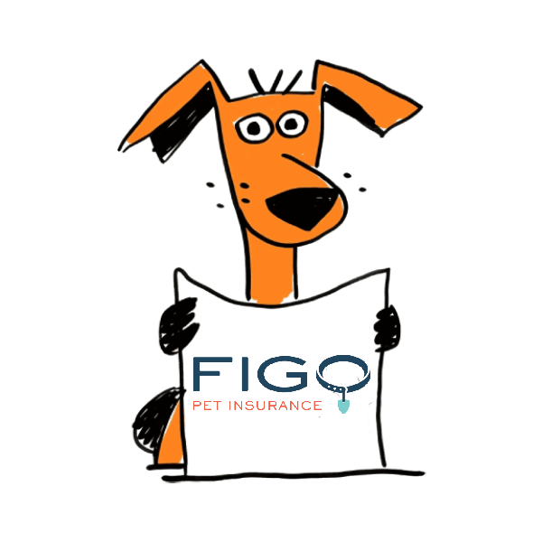 FIGO Pet Insurance Review