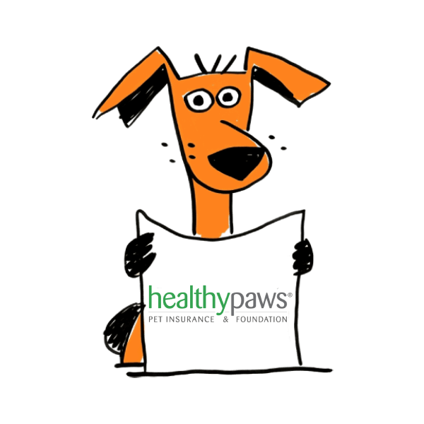 Healthy Paws pet insurance review