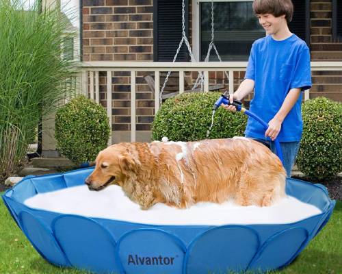 Alvantor Pet Swimming Pool Dog Bathing Tub Kiddie Pools