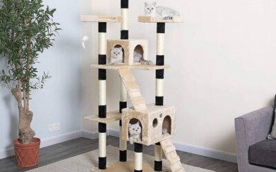 Best Cat Tree for Large Cats