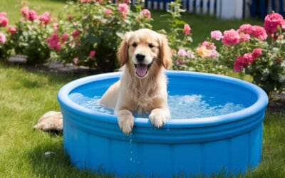 Best Dog Pools of 2024