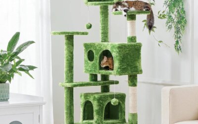 Best Green Cat Tree