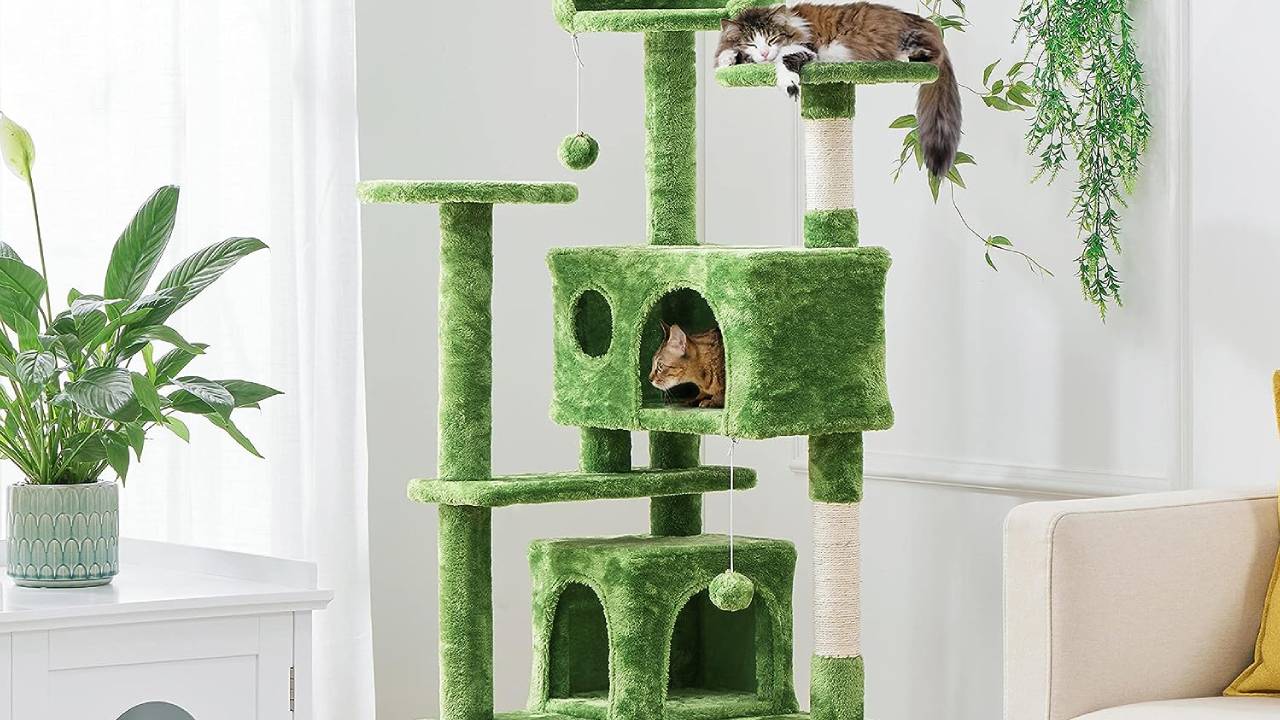 Best green cat tree