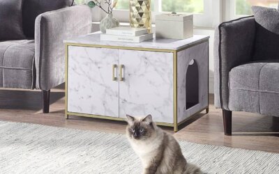 Best Large Cat Litter Box Furniture
