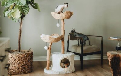 Best Luxury Cat Trees
