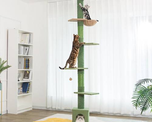 Meow Sir Floor to Ceiling Cat Tree Ajustable Height [82-108 Inches=208-275cm]