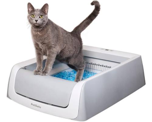 PetSafe ScoopFree Complete Plus Self-Cleaning Cat Litterbox - Hands-No Cleanup