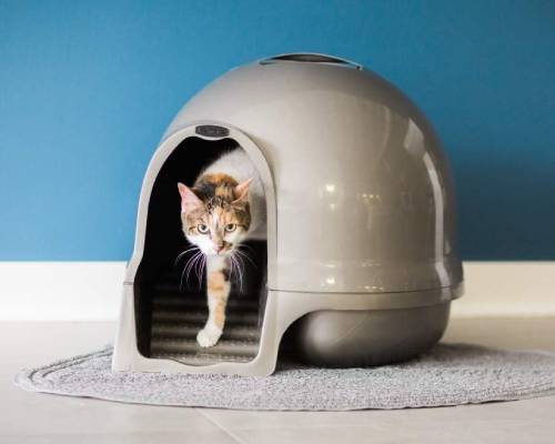 Petmate Booda Clean Step Cat Litter Box Dome