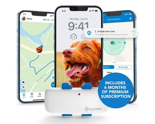 Tractive GPS Pet Tracker for Dogs Gift Bundle - Waterproof, GPS Location & Smart Activity Tracker