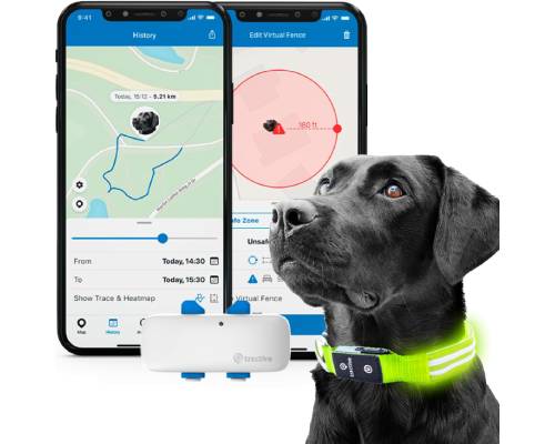 Tractive GPS Pet Tracker with LED Light Up Dog Collar - Waterproof, GPS Location & Smart Activity Tracker