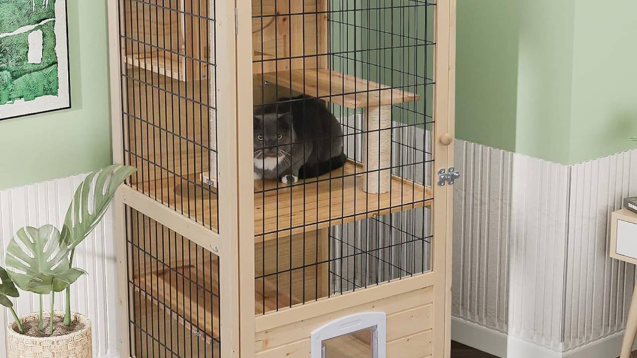 best indoor playpens for cats