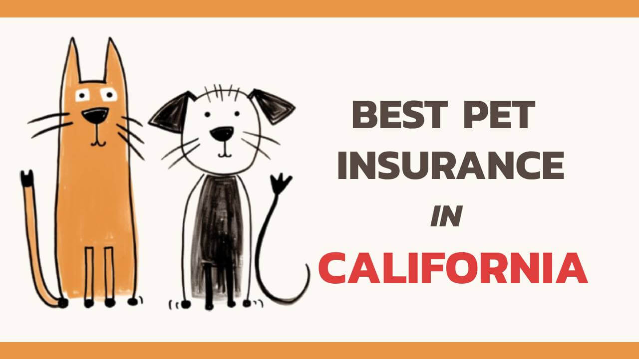 best pet insurance in California