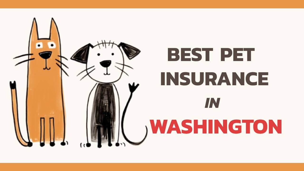 best pet insurance in Washington state