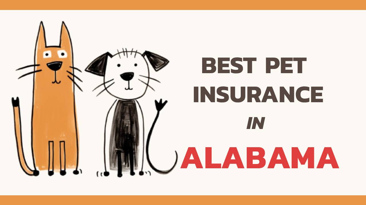 the best pet insurance in Alabama