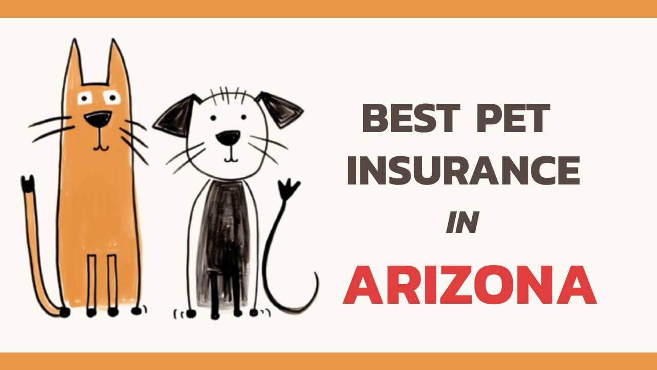the best pet insurance in Arizona