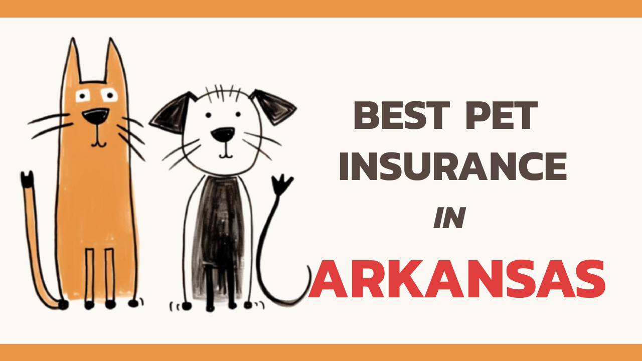 the best pet insurance in Arkansas