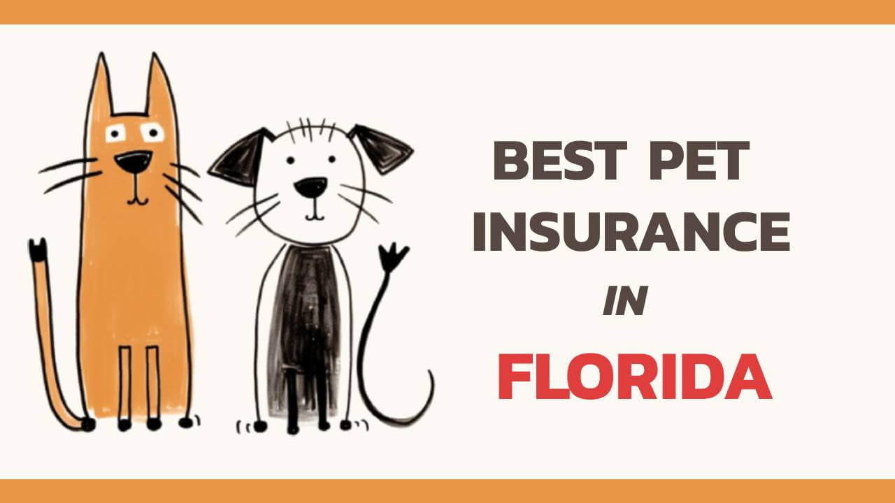 the best pet insurance in Florida