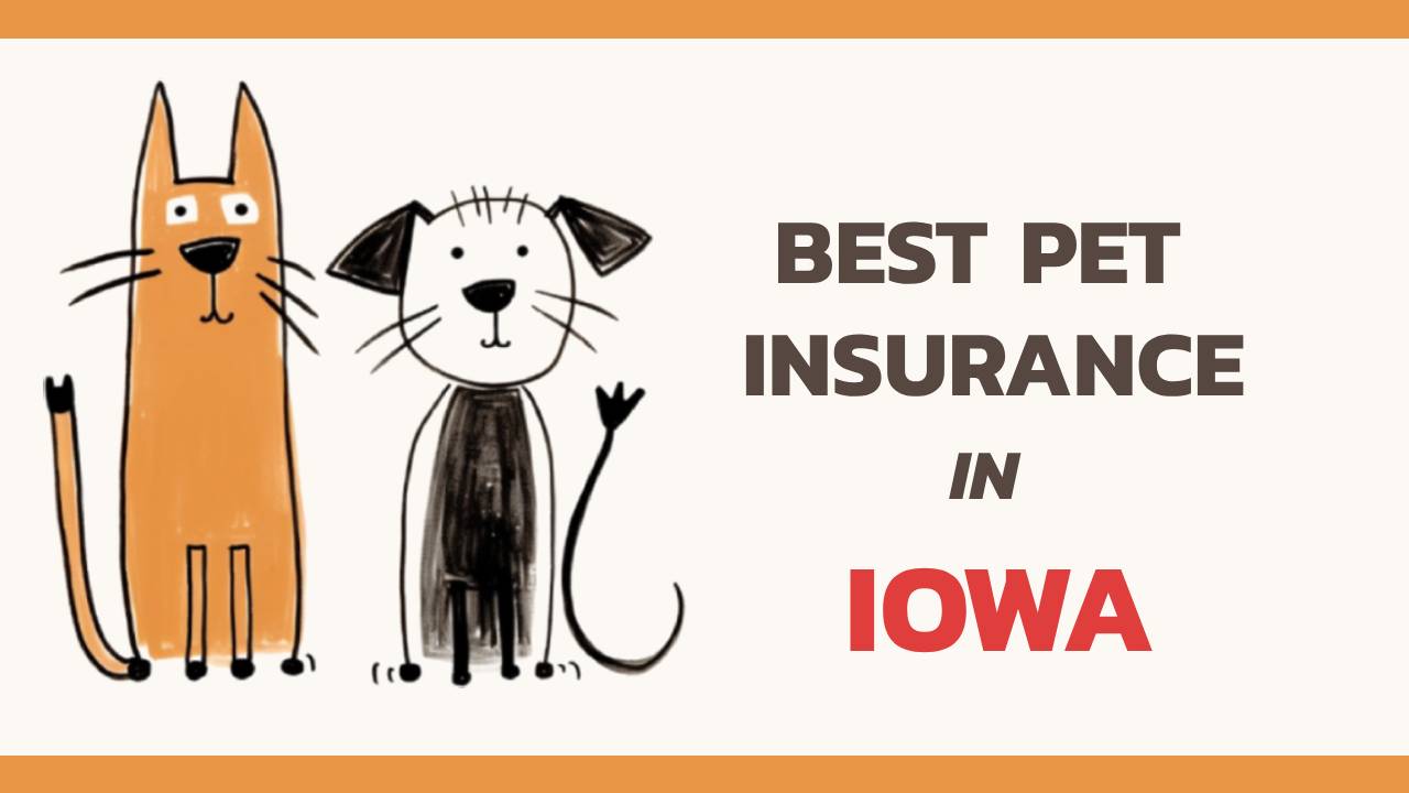 the best pet insurance in Iowa