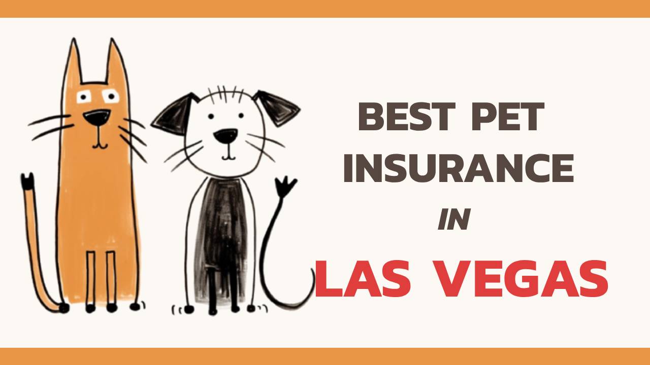 the best pet insurance in Las Vegas