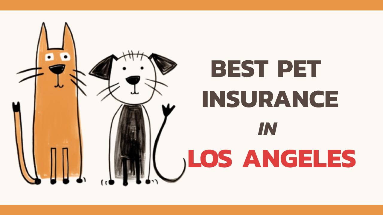 the best pet insurance in Los Angeles