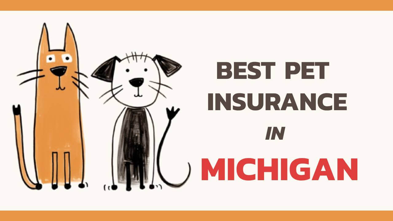 the best pet insurance in Michigan