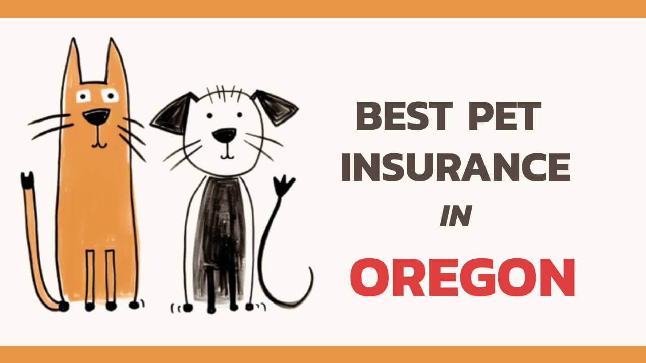 the best pet insurance in Oregon