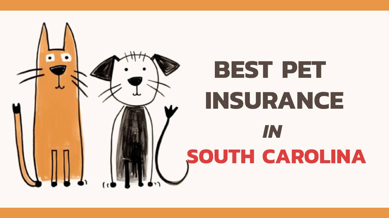 the best pet insurance in South Carolina