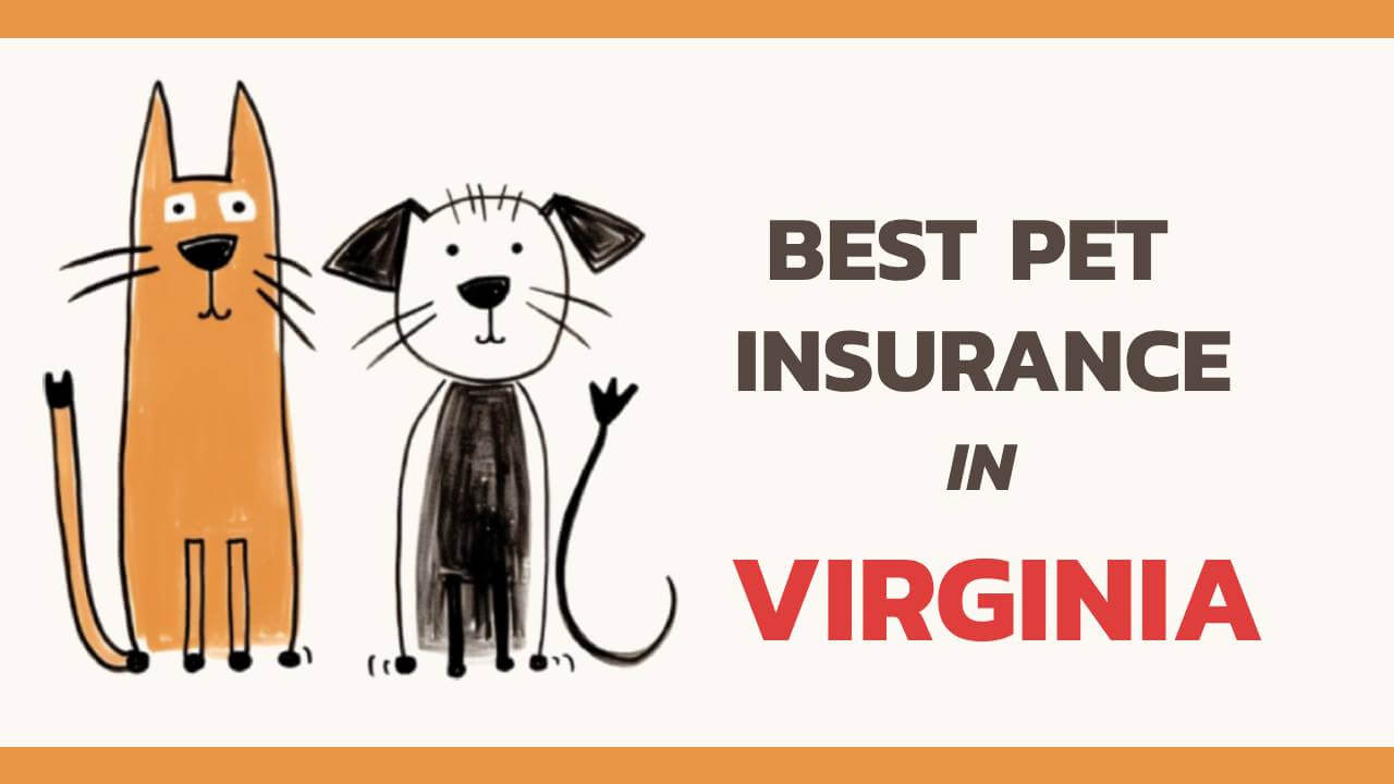 the best pet insurance in Virginia