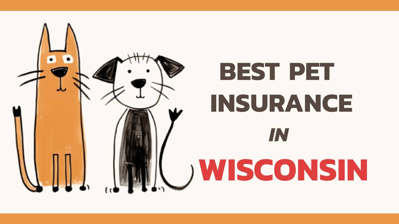the best pet insurance in Wisconsin