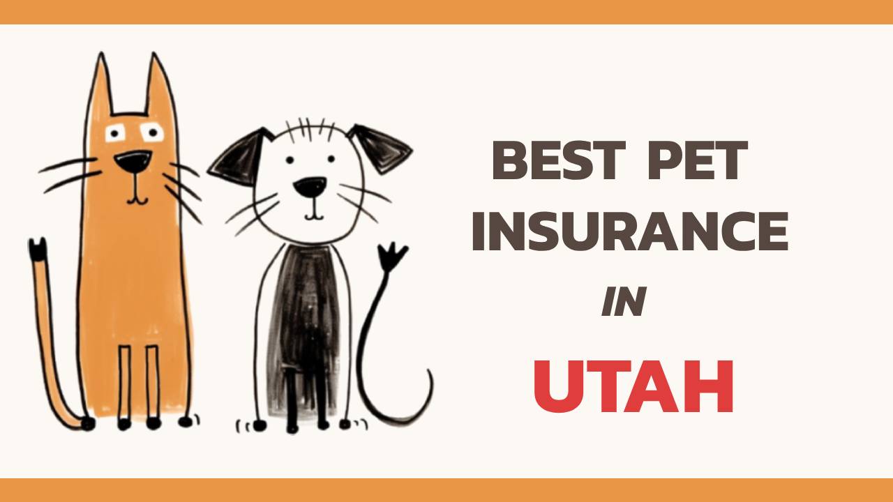 the best pet insurance in utah