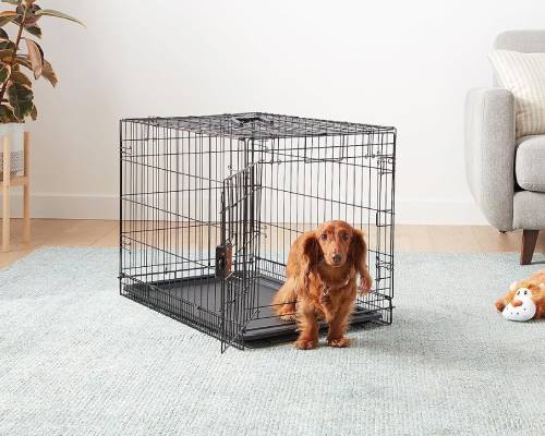 Amazon Basics Durable, Foldable Metal Wire Dog Crate with Divider and Removable Tray