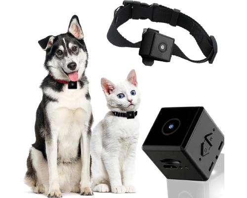 DAIFAC No WiFi Needed Pet Collar Camera & Cat Collar Camera
