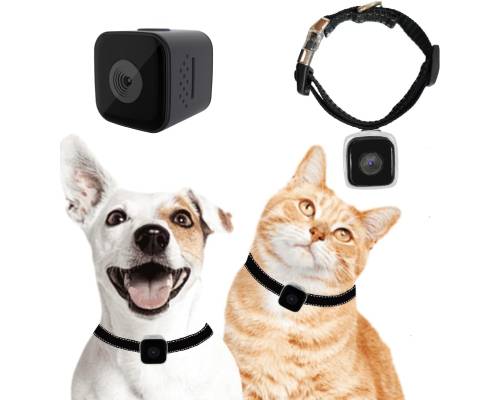 KinetCam Cat Camera Collar, No WiFi Needed No APP,Cat Collar Camera with Video Record