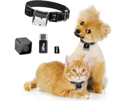 KinetCam Cat Camera Collar with 32GB SD Card