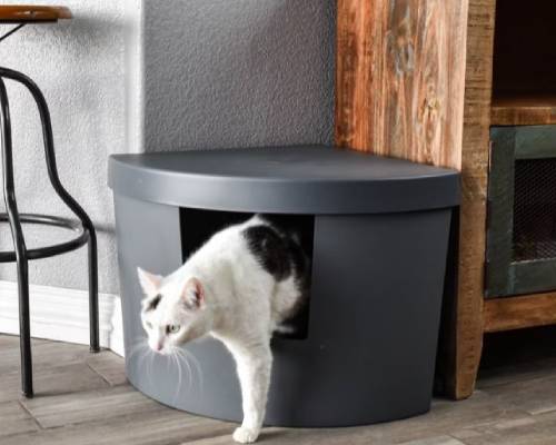 Kitangle Corner Kitty Cat Litter Box, Large 