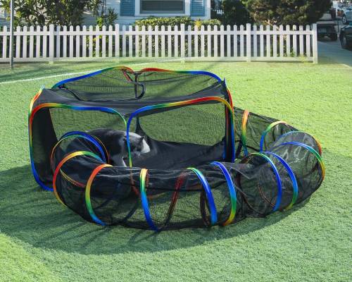 LUCKITTY Outdoor Rainbow Cat Enclosures Playground,Outside House for Indoor Cats Include Portable Cat Tent